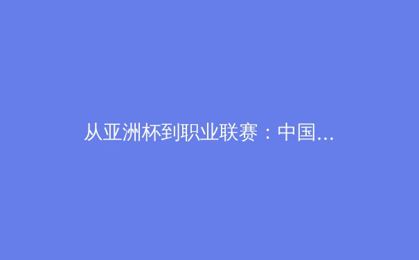 从亚洲杯到职业联赛：中国体育产业的结构性变革与未来挑战 - 2